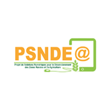 PSNDEA